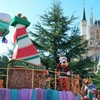 TDL8