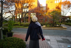 冬への期待