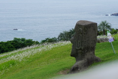 DSC00804