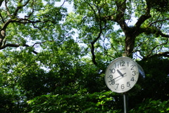 DSC00876