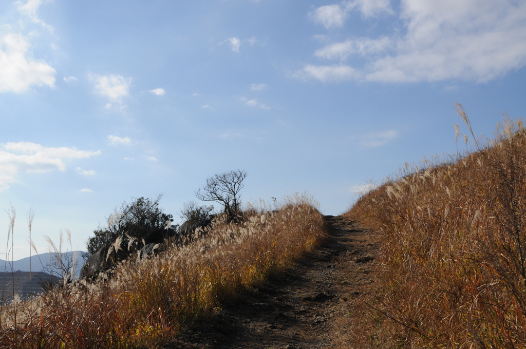 平尾台散歩道の光景