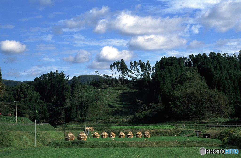 田園風景