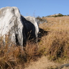 平尾台奇岩風景