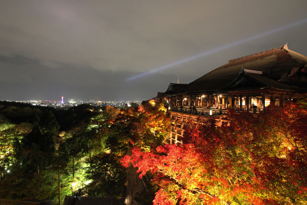 清水寺 夜間拝観