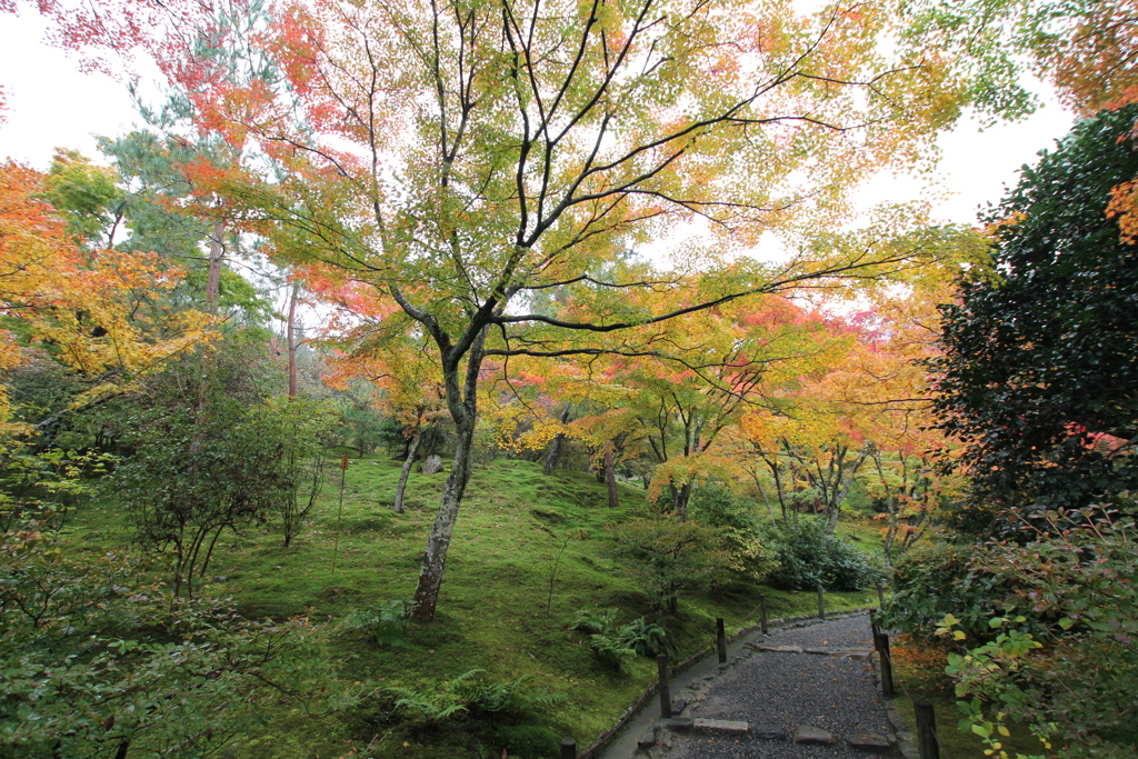 天龍寺