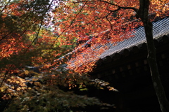 醍醐寺