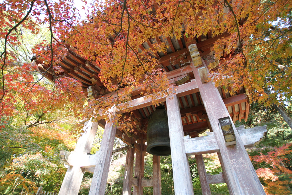 醍醐寺