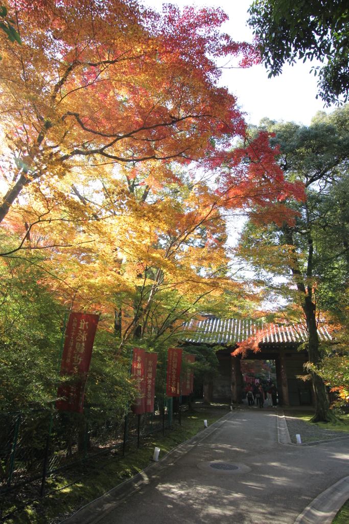 醍醐寺