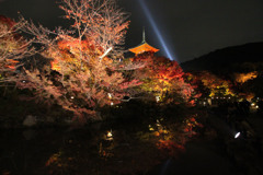 清水寺 夜間拝観