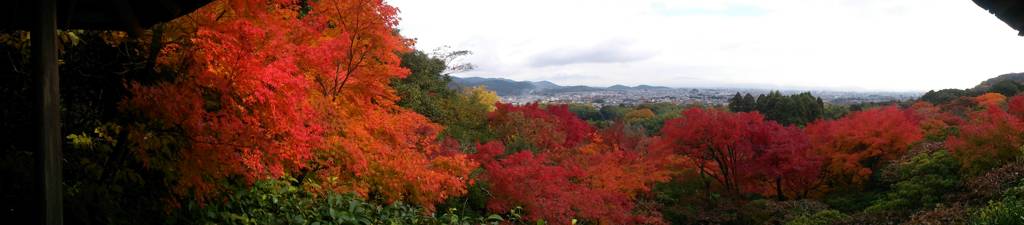 大河内山荘庭園