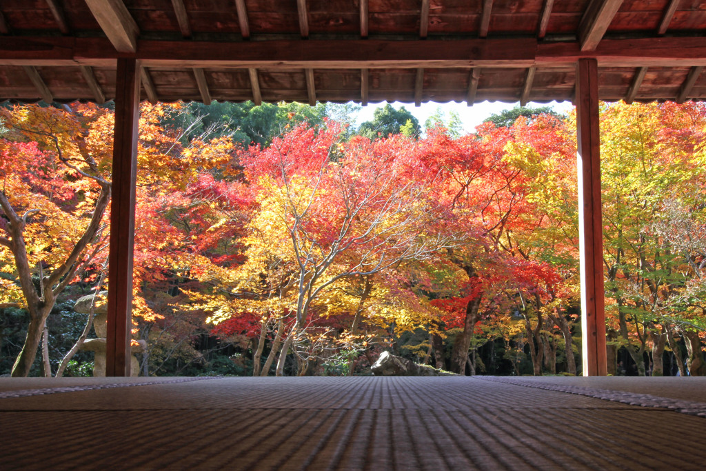 圓光寺