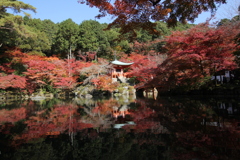 醍醐寺