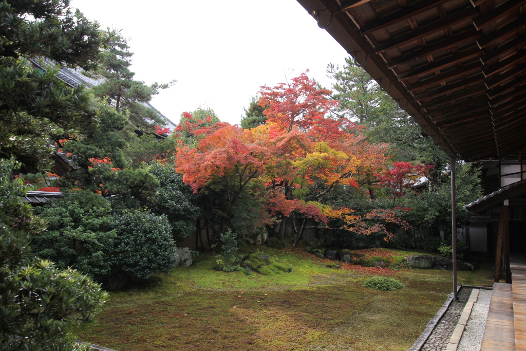 清涼寺