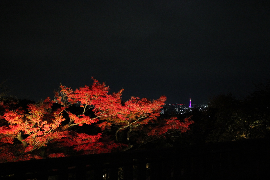 清水寺 夜間拝観