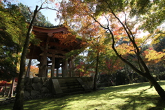 醍醐寺