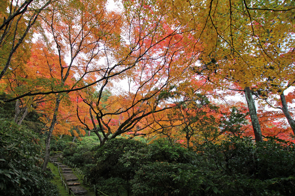 大河内山荘庭園