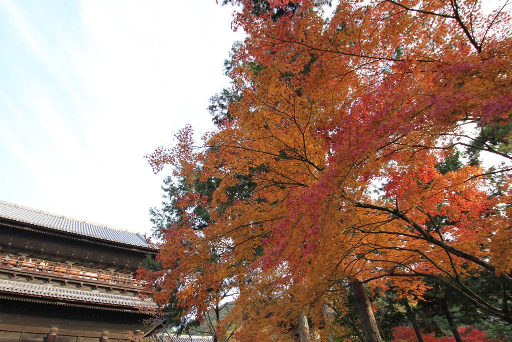 南禅寺