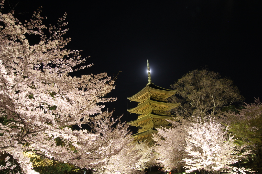 東寺 4