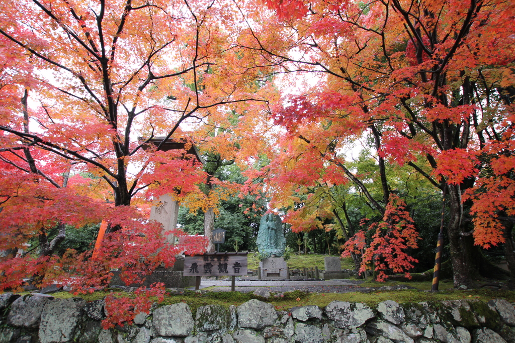 天龍寺