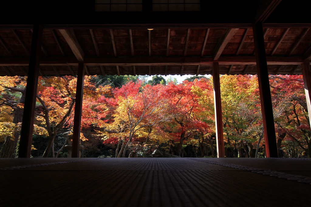 圓光寺