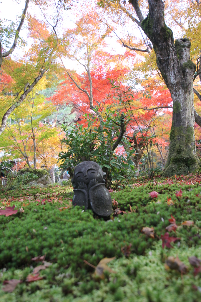 圓光寺