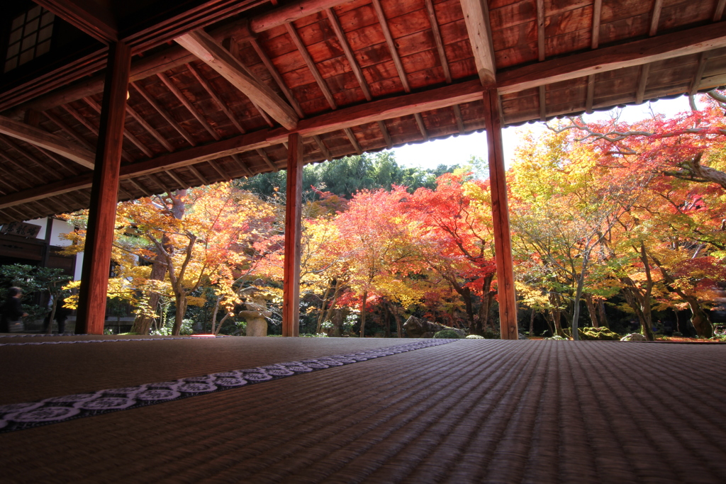 圓光寺