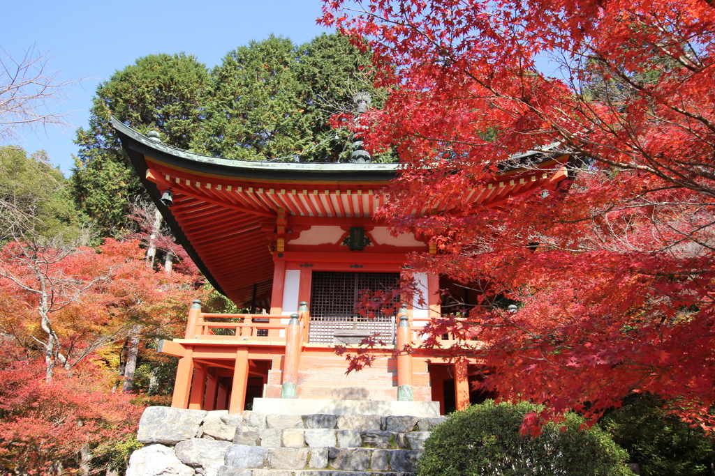 醍醐寺