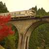 紅葉電車