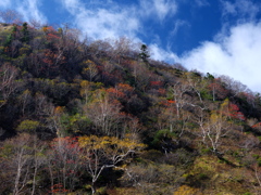 秋山