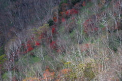 秋山