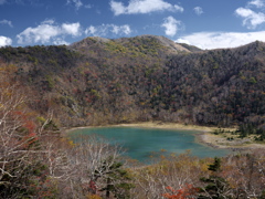 秋沼