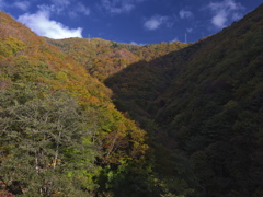 秋山と鉄塔 秋山と鉄塔