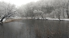 雪化粧の池