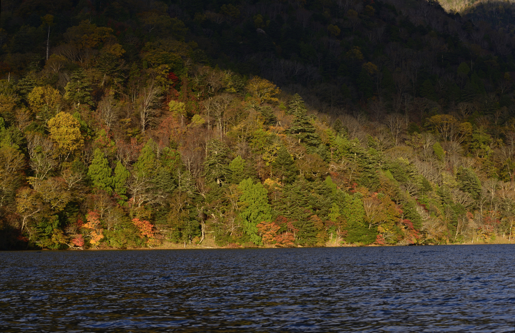 秋の湖畔