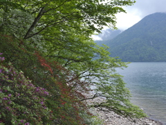 初夏の湖畔