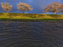 夕照２