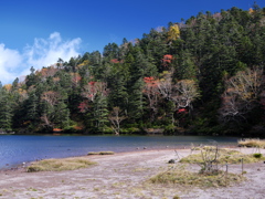 秋の池