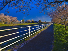 帰り道