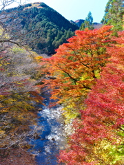 秋山