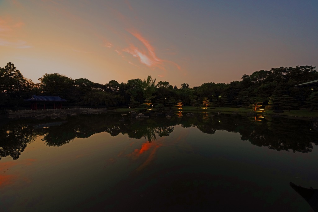 大仙公園ライトアップ