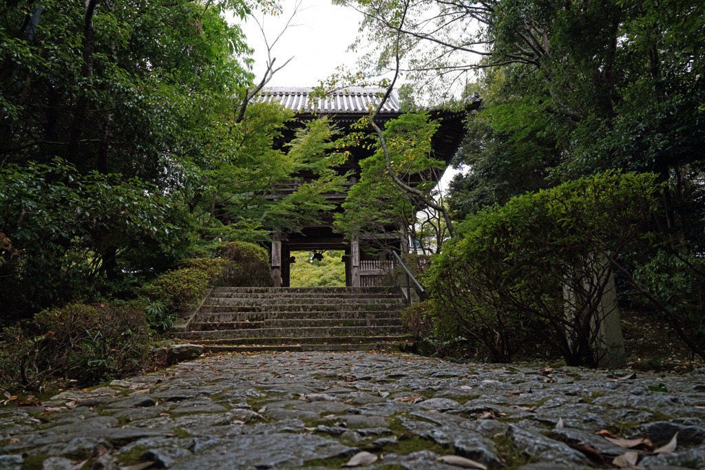 松尾寺