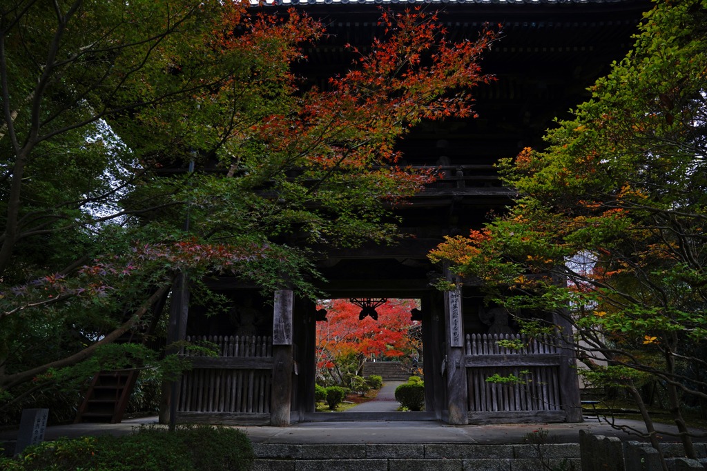 松尾寺