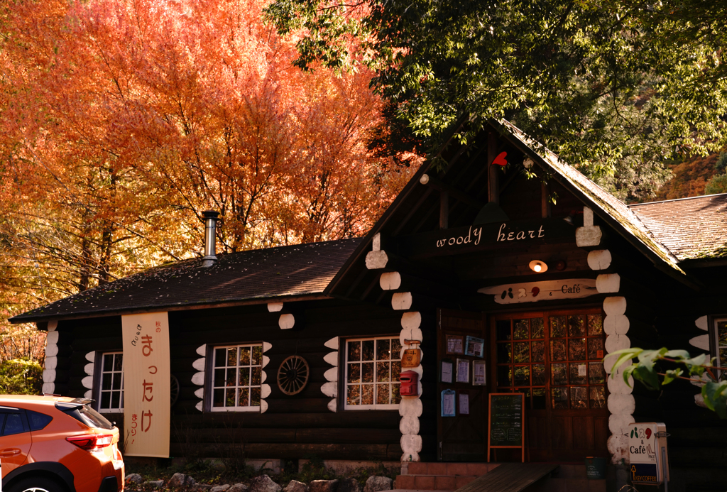 ウッディーハート開店