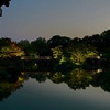 大仙公園ライトアップ（日本庭園）