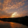 黄昏の大泉緑地