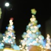 クリスマスツリー