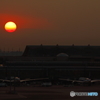 空港にほえろ!