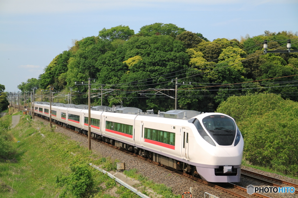 新緑の常磐線 E657系