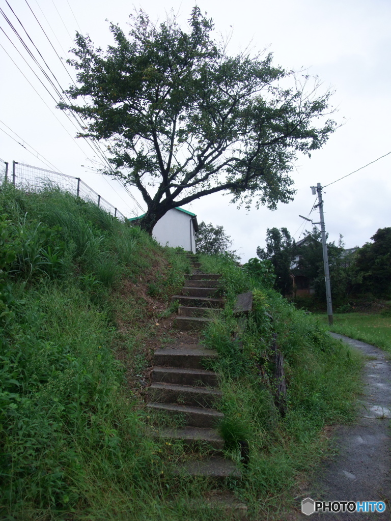 伊野灘駅 入口