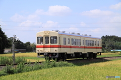 関東鉄道 竜ヶ崎線 キハ532形